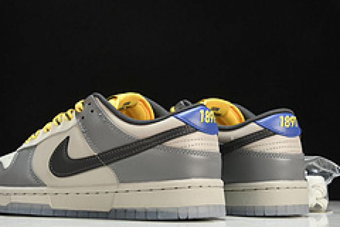 nike dunk low N0*H carolina a&t - dr6187-001